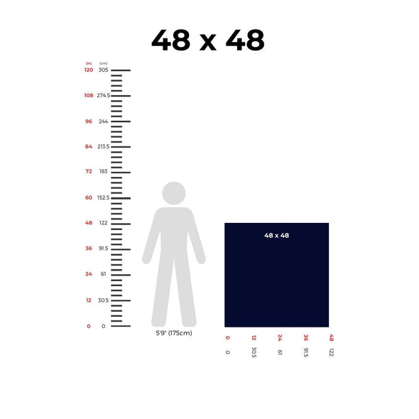 Point Dex