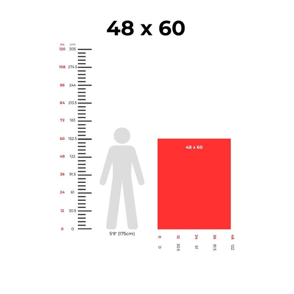 Bot.2